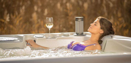 Спа-бассейн Wellis Everest Deluxe Спа-бассейн Wellis Everest Deluxe